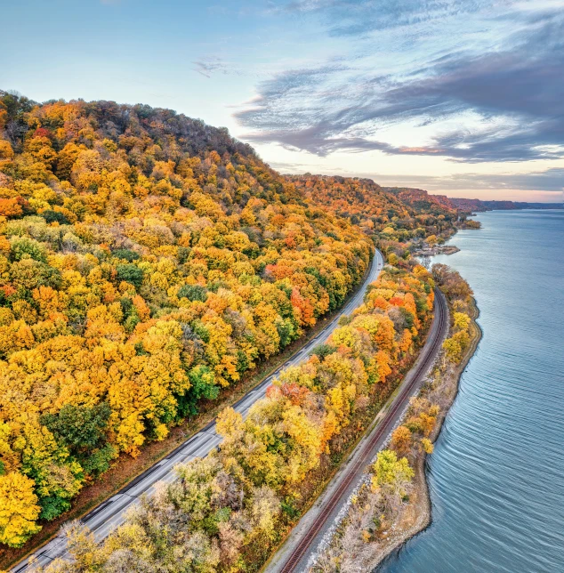 aerial view of a road near trees