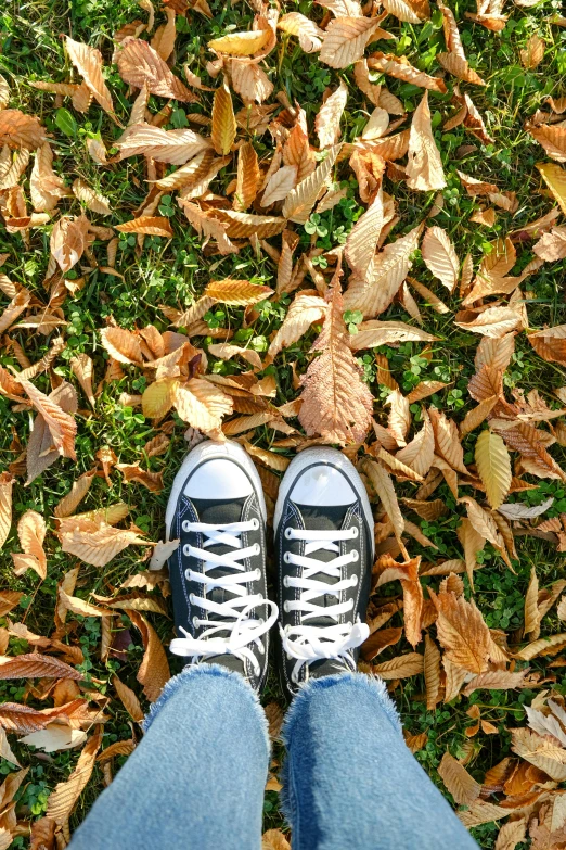 a persons feet with sneakers on surrounded by leaves