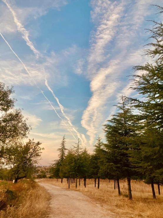 some very pretty sky with some clouds over the woods