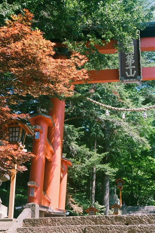 a tall red wooden structure in the woods