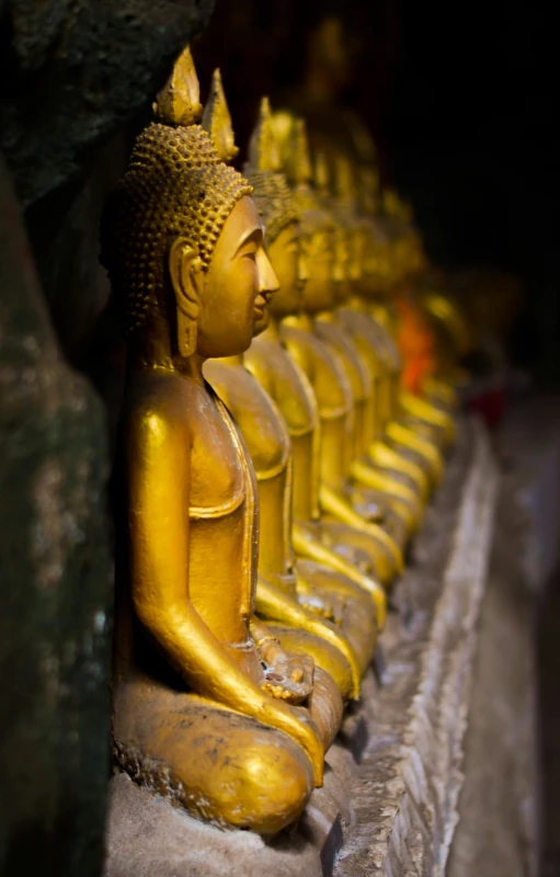 a group of buddha statues in rows on display