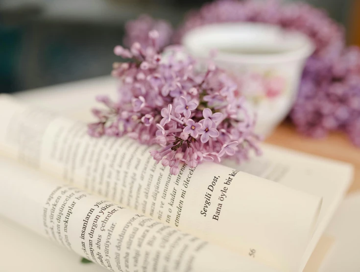 a book is opened with flowers sitting on the pages