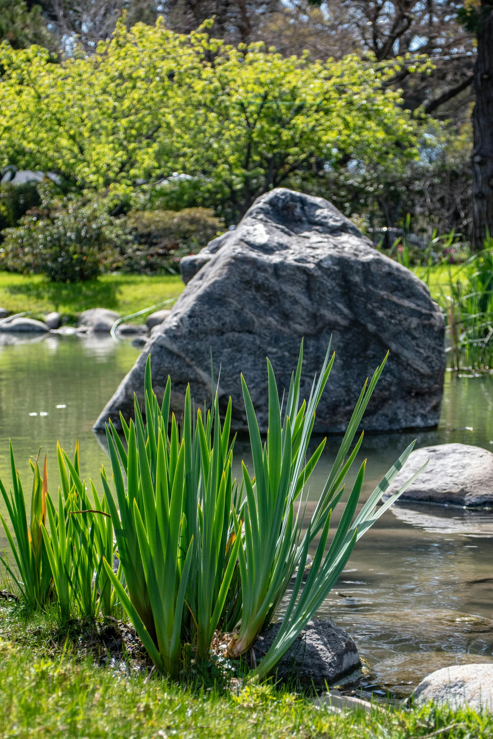 a rock out in the water near some grass