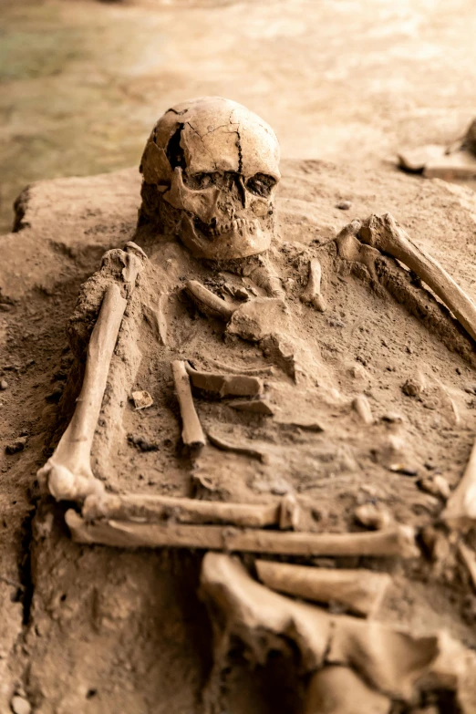 a skull and knife on display on the ground