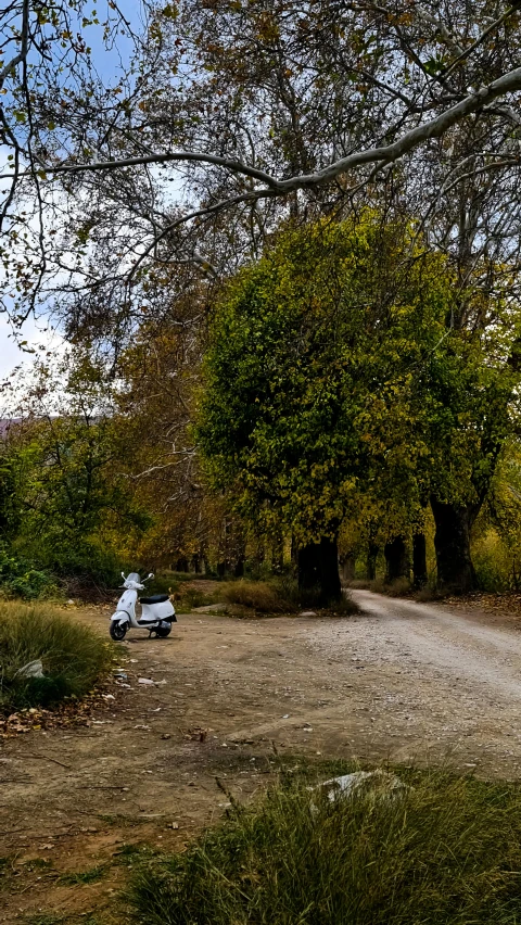 a white scooter sitting on the side of a dirt road in a forest