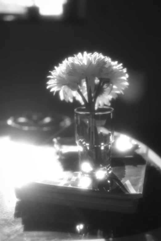 the flowers are on a small table