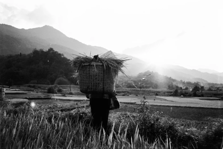 a person standing in a field next to mountains