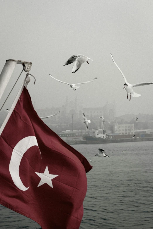 a turkey flag is flying next to the ocean with a flock of seagulls