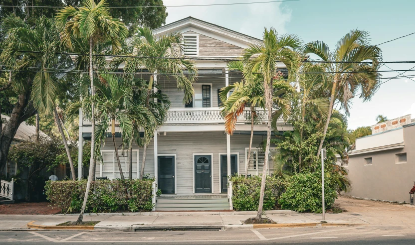 a small house with lots of palm trees around it