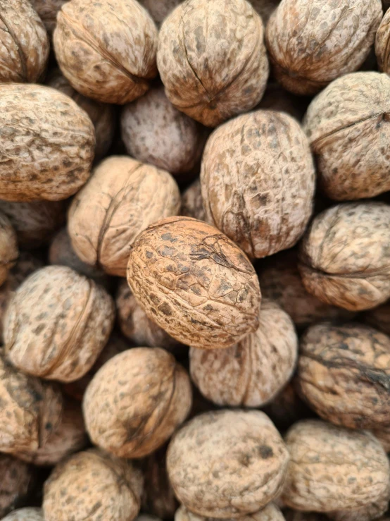 a close up view of nuts that are still intact