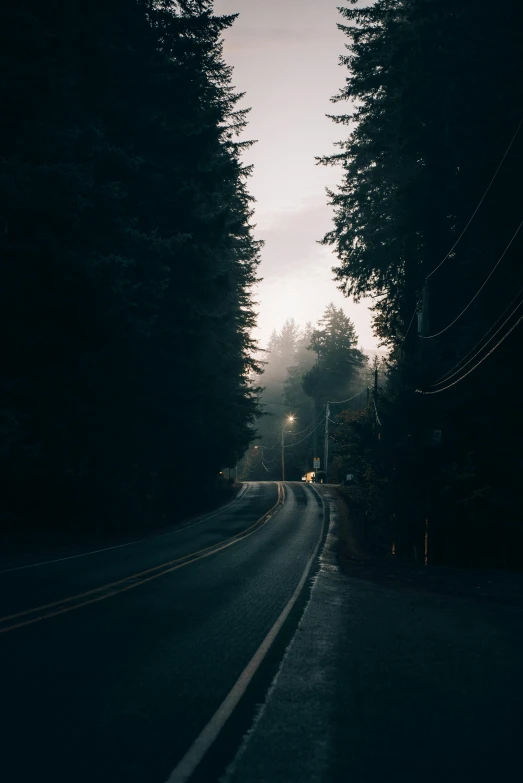 two empty roads through some dark woods at night