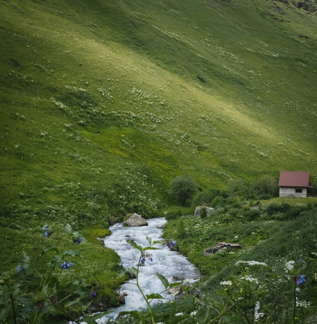 a cabin sitting in the middle of a small stream on the side of a green hill