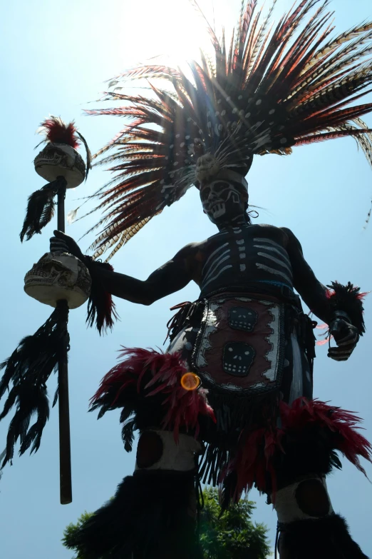 an elaborately dressed indian costume stands under the sun