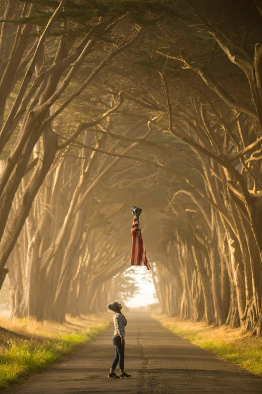 a boy is on a tree lined road