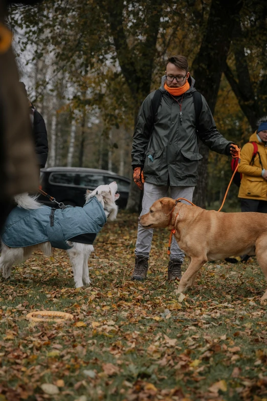 people are walking their dogs outside on leashes