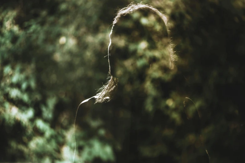 a woman's shadow and trees in the background