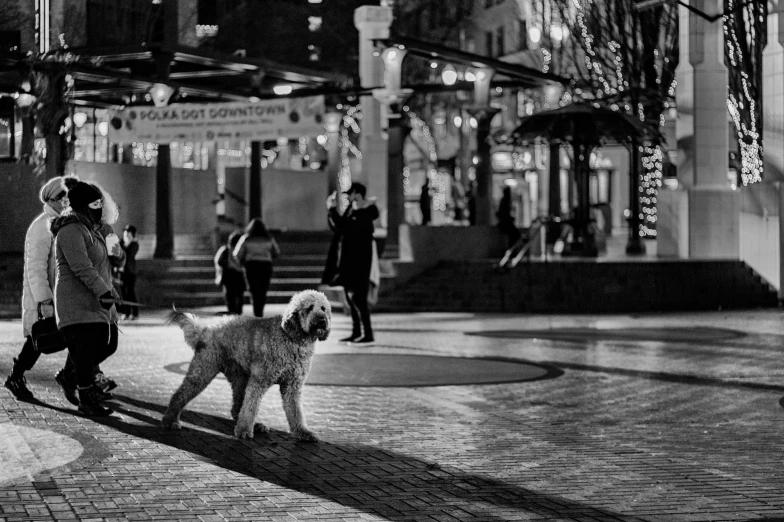 a person walking their dog in the middle of a city at night