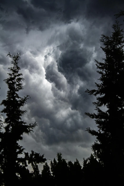 a cloudy sky and several trees and one person in the distance