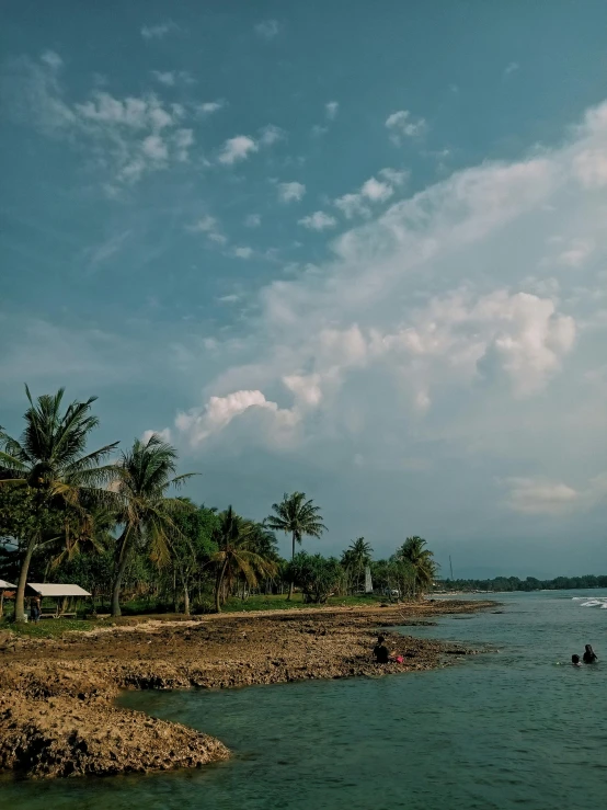 a person stands on a boat in a lake with palm trees