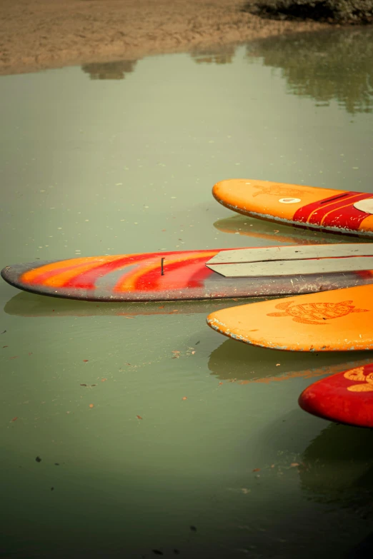 four surfboards laying on the ground in shallow water