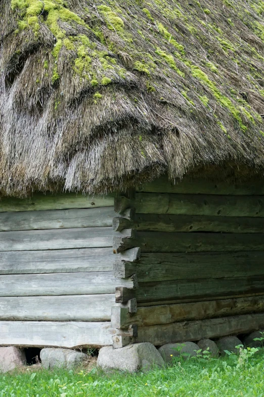 a log cabin with a grass roof and grass growing on it