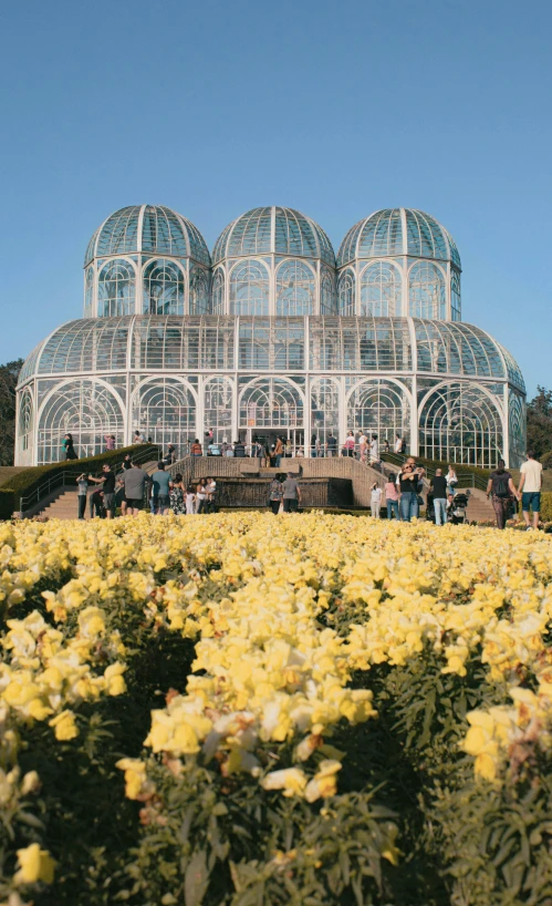 a huge glass and iron building with yellow flowers in the foreground