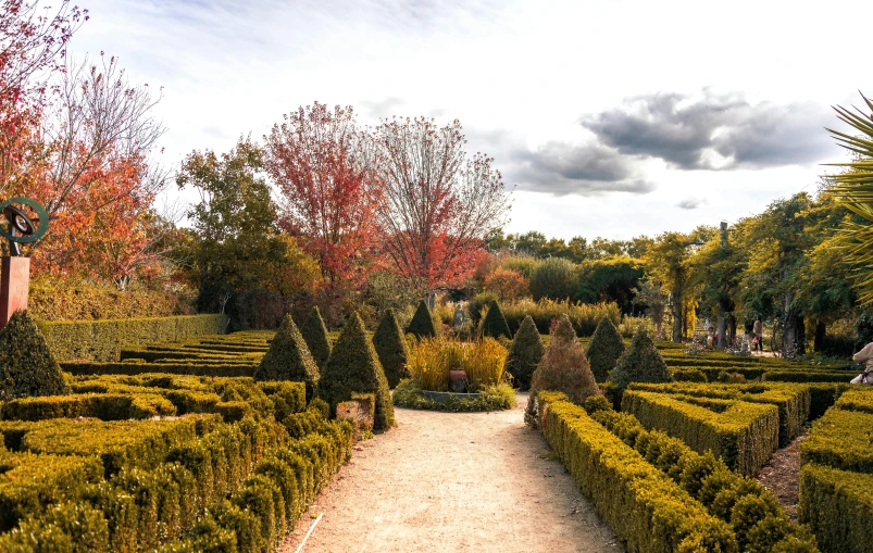 an image of an ornamental garden and pathway