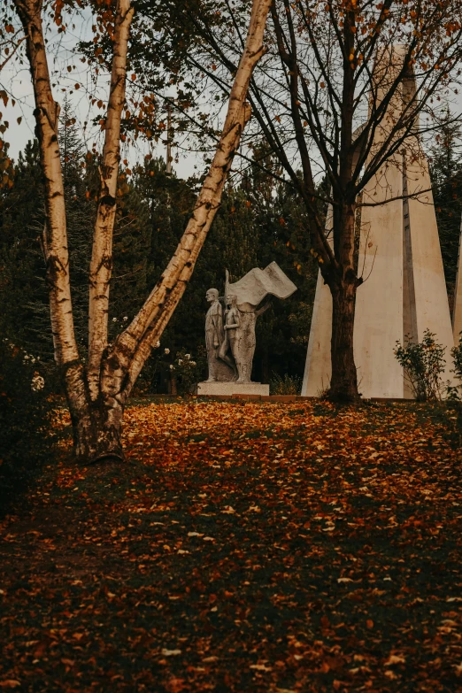 two heads and trees stand in a park