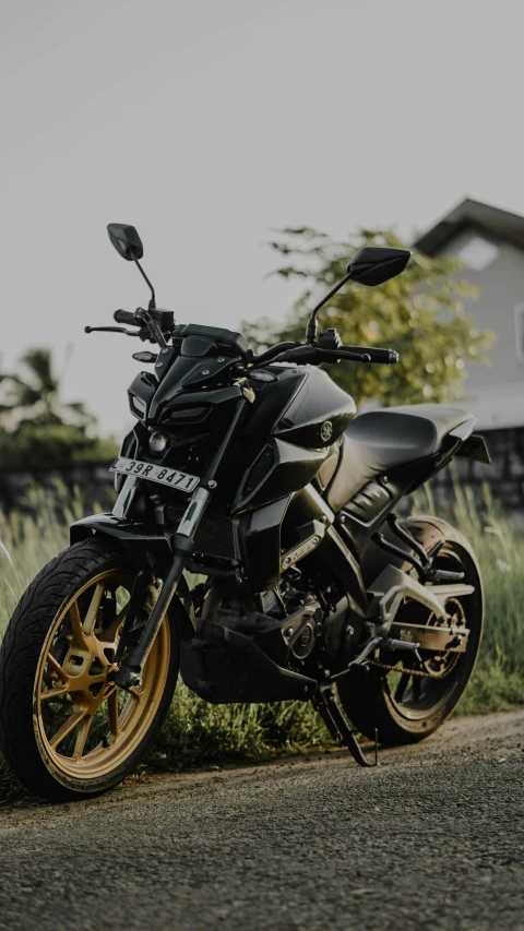 a black and gold motorcycle is on the road