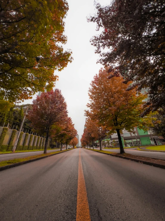 a long, empty road on a rainy day