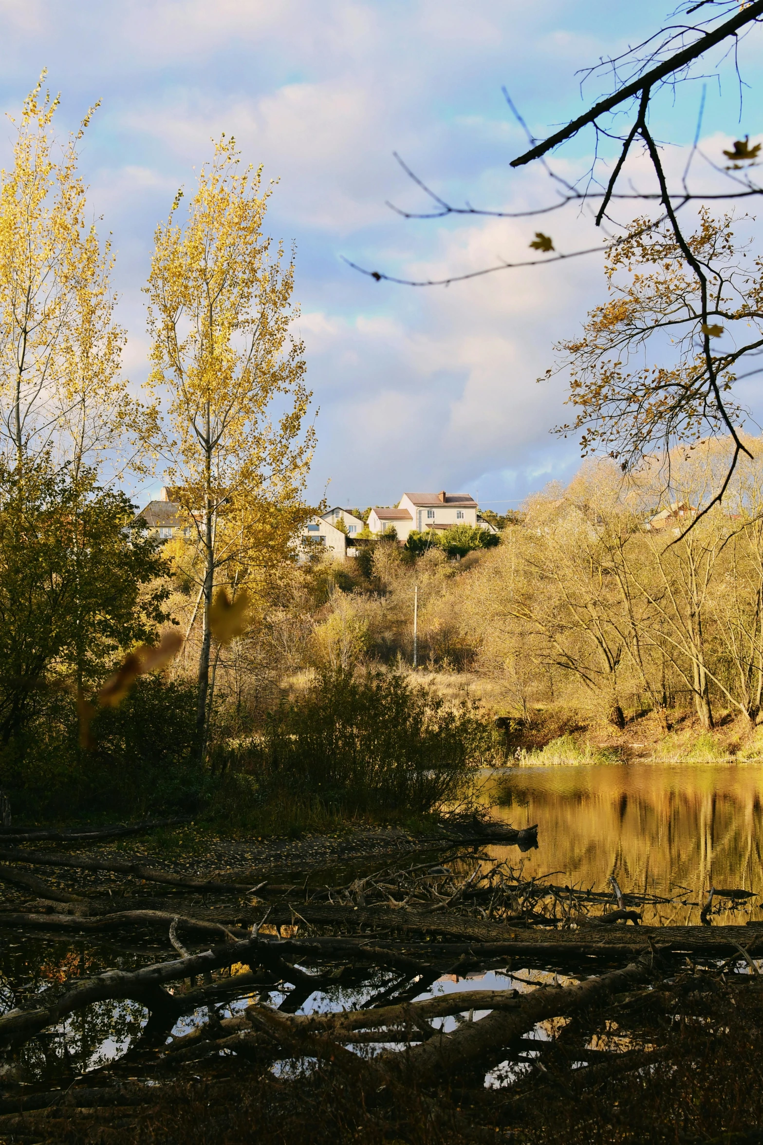 a body of water surrounded by forest on a hillside