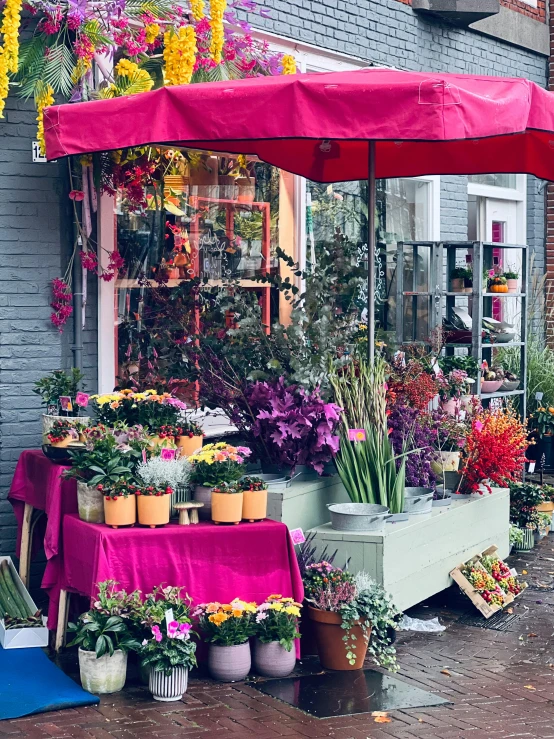 the flower shop has pink tarps to cover it