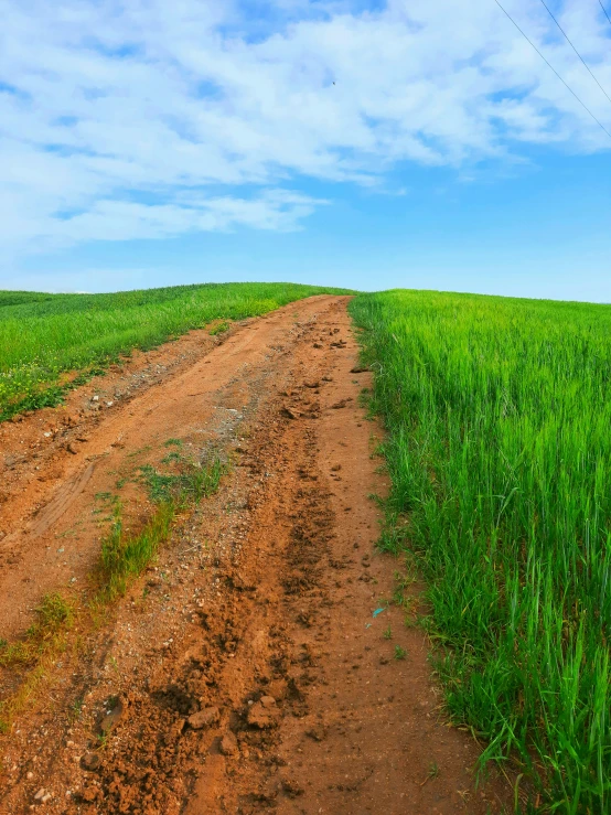 a dirt road leads out to green fields under a blue sky