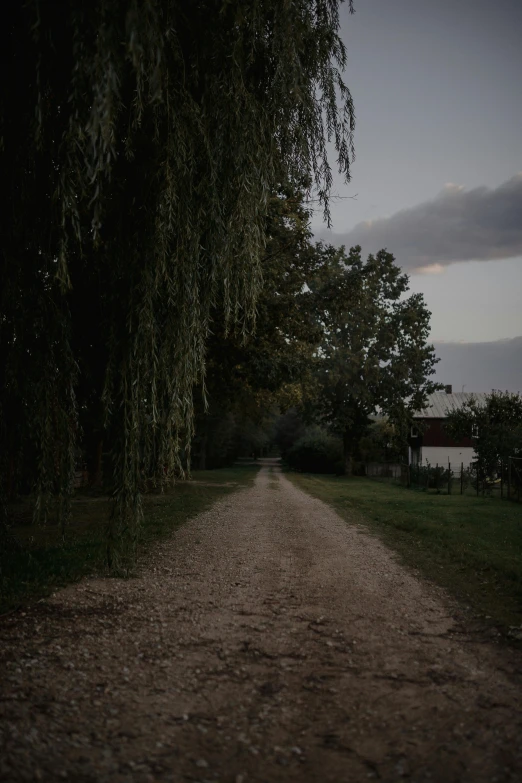 a dirt road is next to trees in a green park