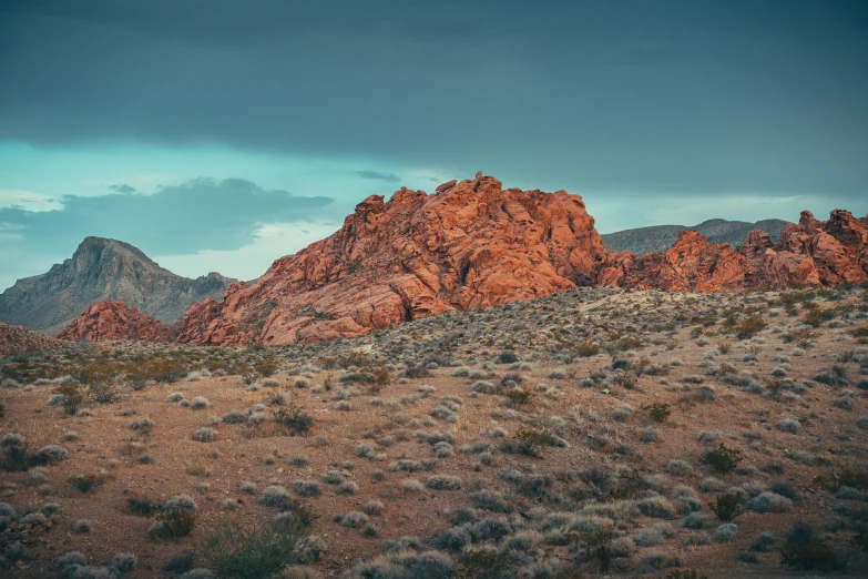 mountains in the desert at sunset, some with little green leaves