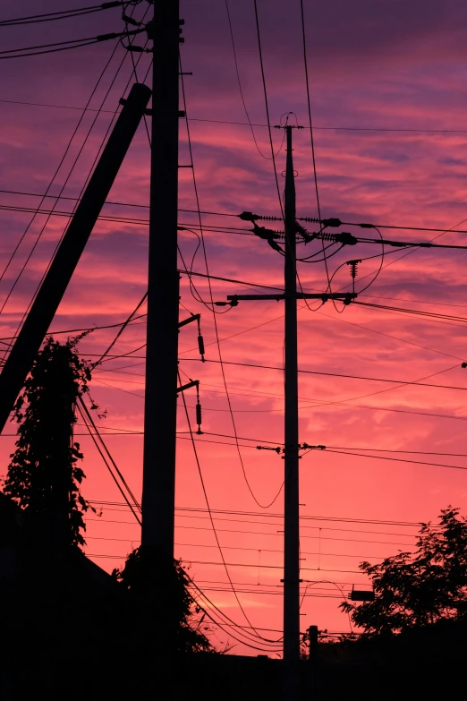 a pink and blue sky behind an electric pole and telephone lines