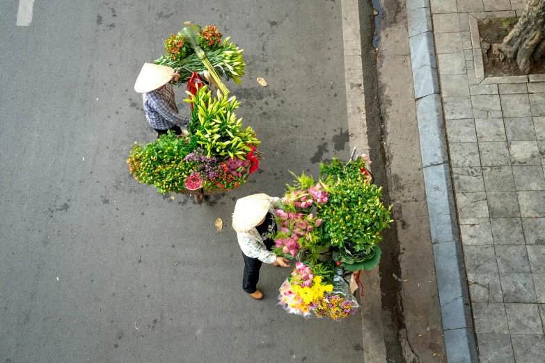 the view from above of an overhead view of a man carrying a large bunch of plants