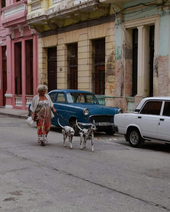 an elderly woman walking two dogs in a small town