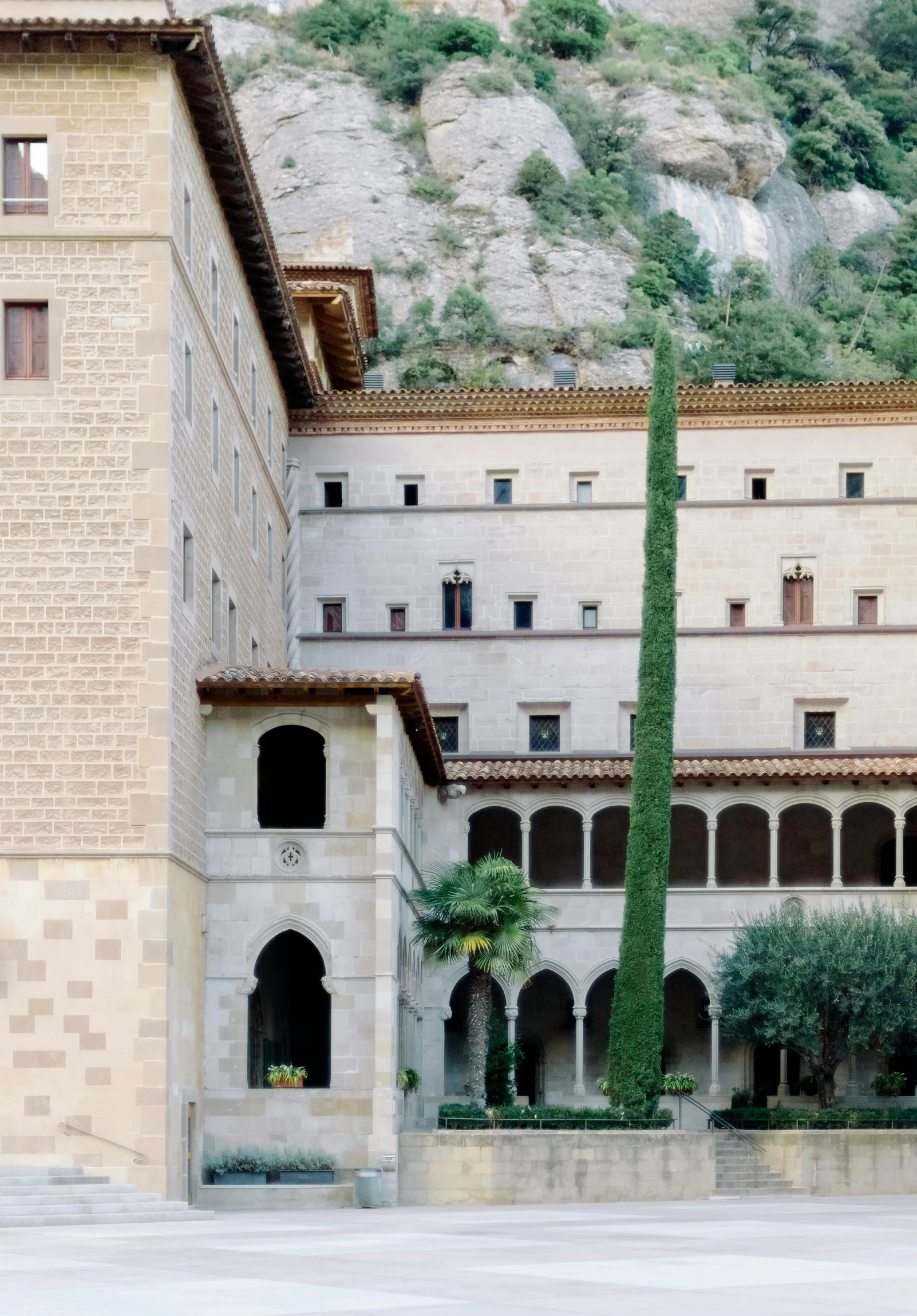 a tall green plant is in front of a building