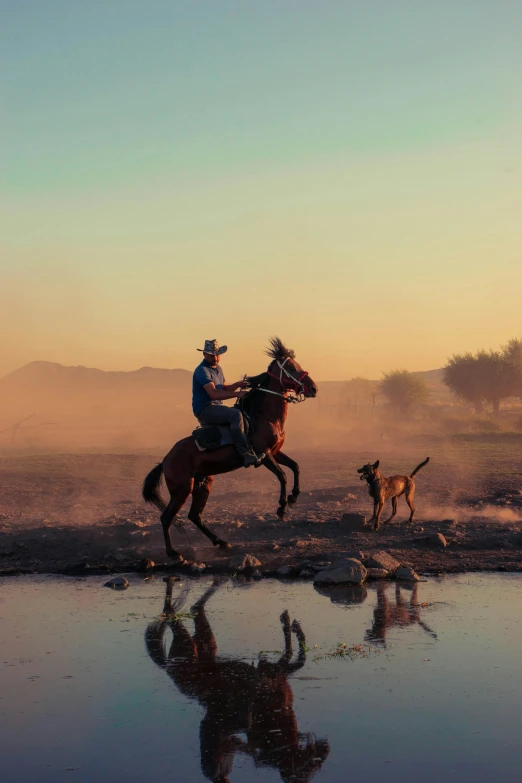 a person on a horse rides near a pond and a dog