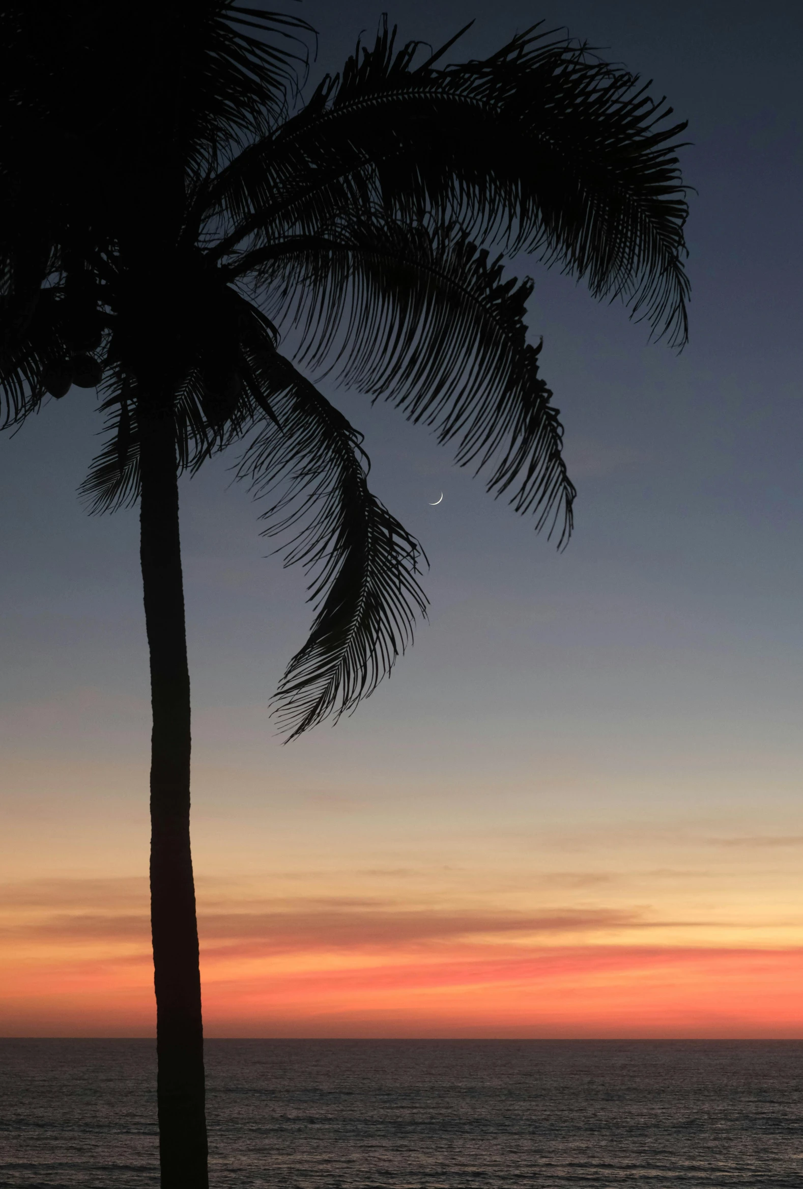 a beautiful sunset with a bird flying over the water