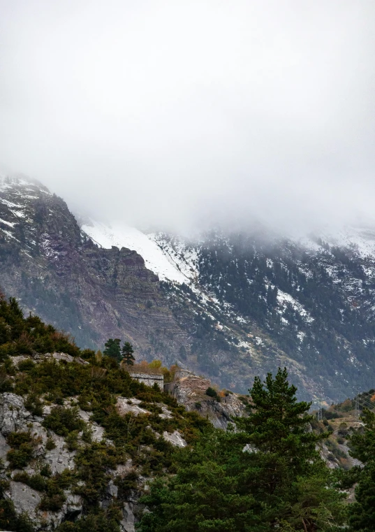 some snow covered mountains and trees on a cloudy day