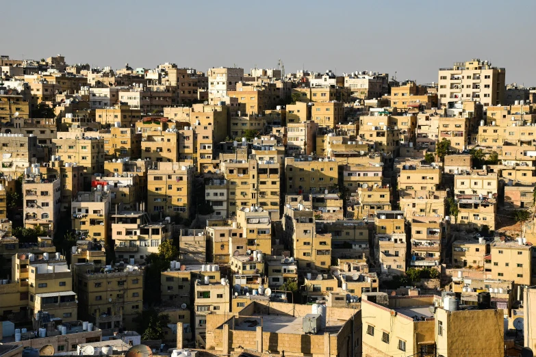 a large crowd of buildings, all in different shades and sizes