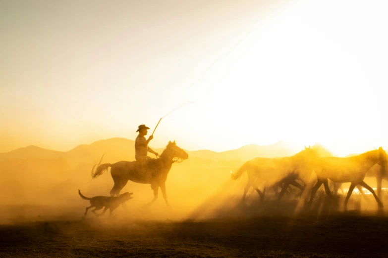 man in a desert setting, trying to lasso a horse