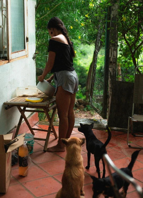 a woman is standing at the table with her dogs