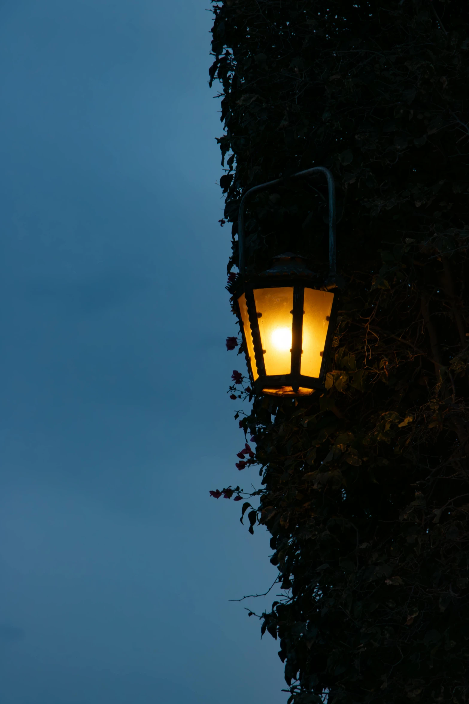 a lantern outside of some bushes with a cloudy sky in the background