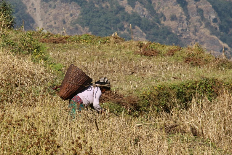 a woman carrying a basket up a hillside