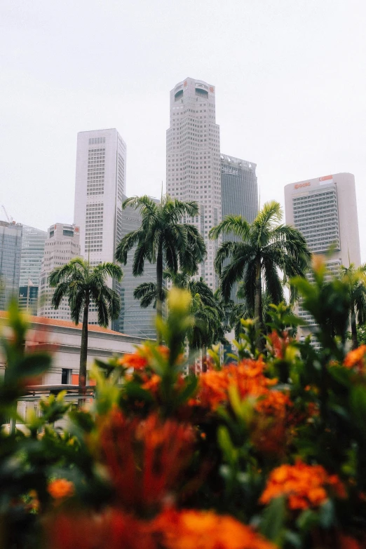 the buildings in the city with flowers in front of them