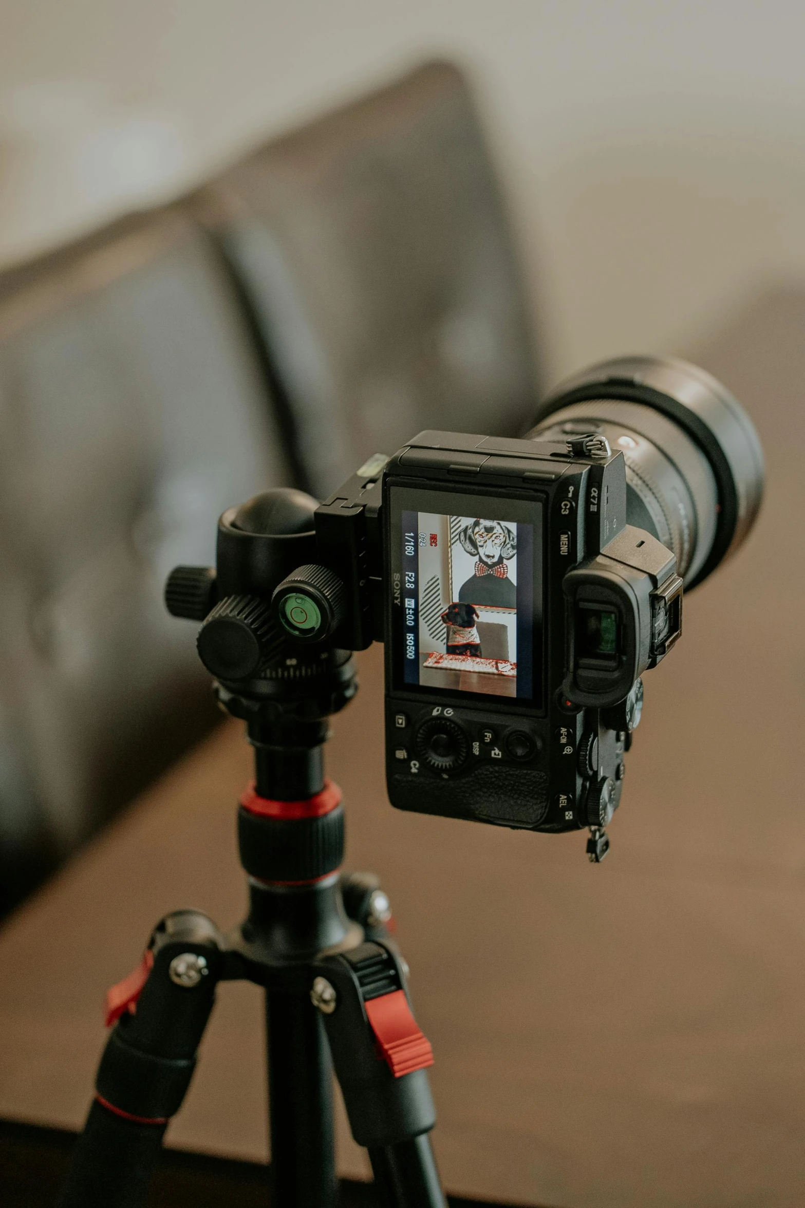 the camera is set up on top of a tripod