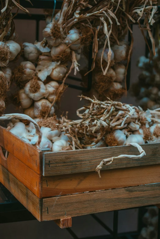 a carton filled with white garlic on display